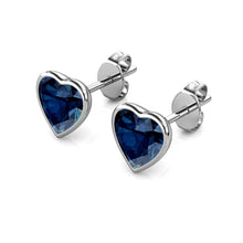 Load image into Gallery viewer, Destiny Danielle Earrings With Swarovski® Crystals