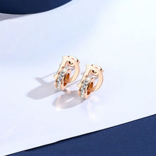 Load image into Gallery viewer, Destiny Adeline Titanium Hoop Earrings